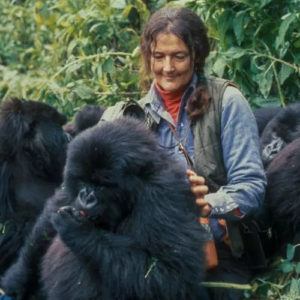 Why is Dian Fossey a key icon for gorilla tourism and conservation?