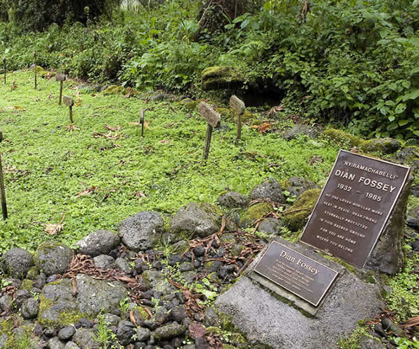 Dian Fossey tomb Hike