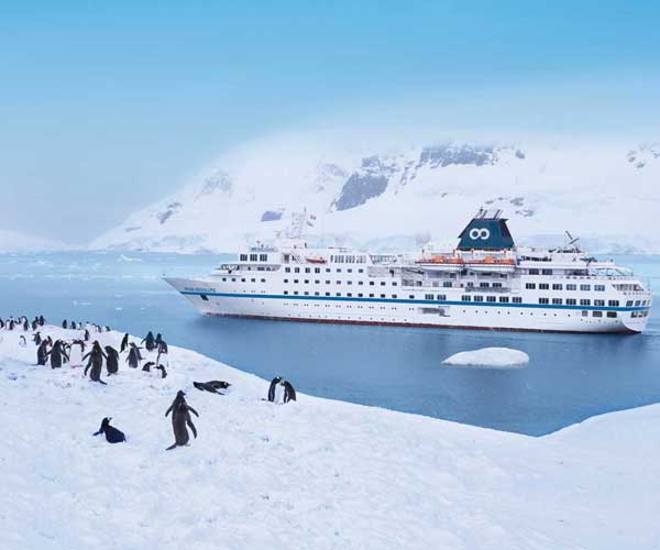 Top 5 cruises for an unforgettable luxury holiday in Antarctica