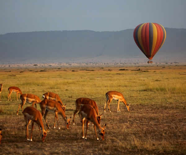 ballon safari in queen elizabeth national park