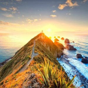 Nugget Point - The Catlins Otago