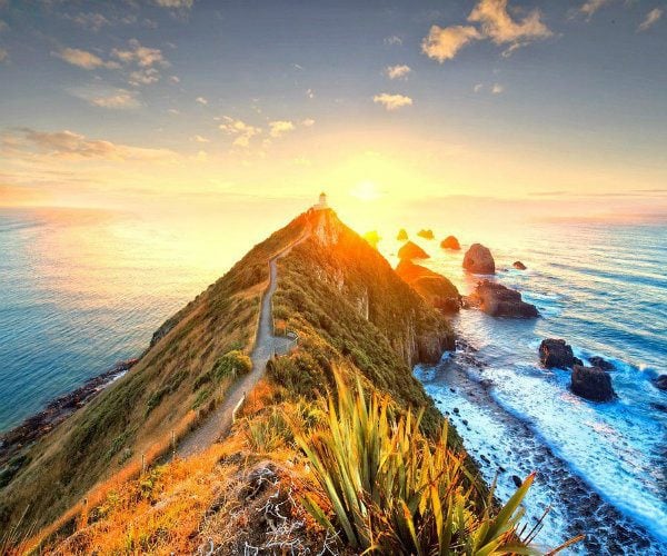 Nugget Point - The Catlins Otago