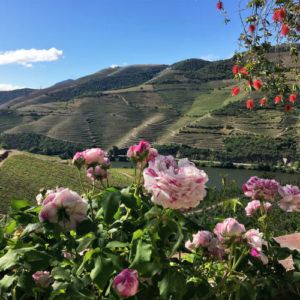 8 of the best destinations for April and May