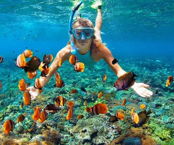 Top 7 reasons to snorkel the Galapagos Islands
