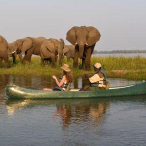 Canoeing On The Zambezi From Sausage TRee Camp