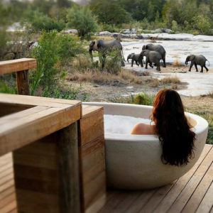 Top 5 ultra-luxurious safari lodges in South Africa