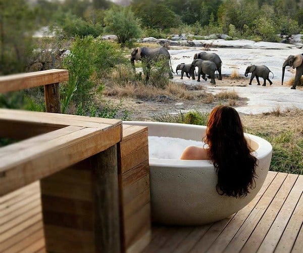 Top 5 ultra-luxurious safari lodges in South Africa