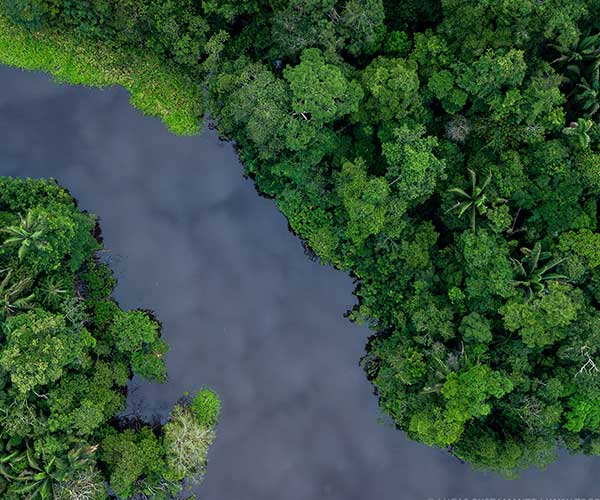 Amazonian-Basin