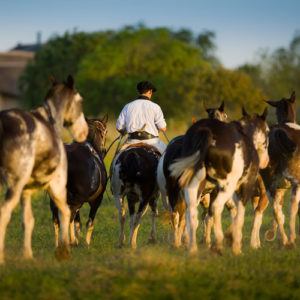 The most luxurious horse-riding retreats in Latin America
