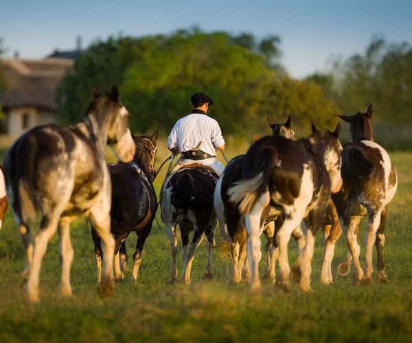 The most luxurious horse-riding retreats in Latin America
