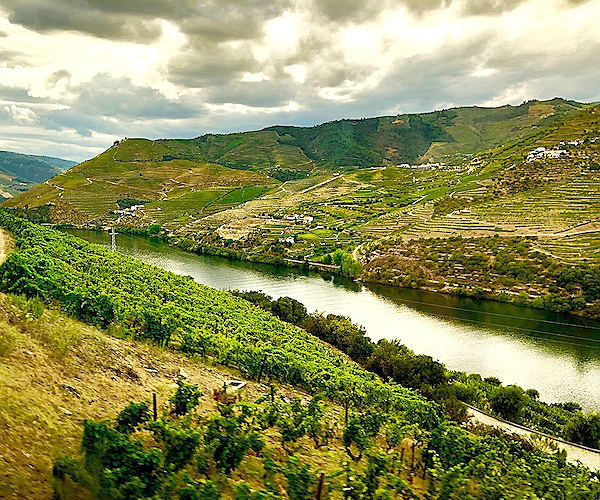 A tasteful education: 5 historic Portuguese wine estates