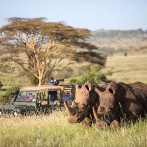 Africa's top 5 places to spot rhino