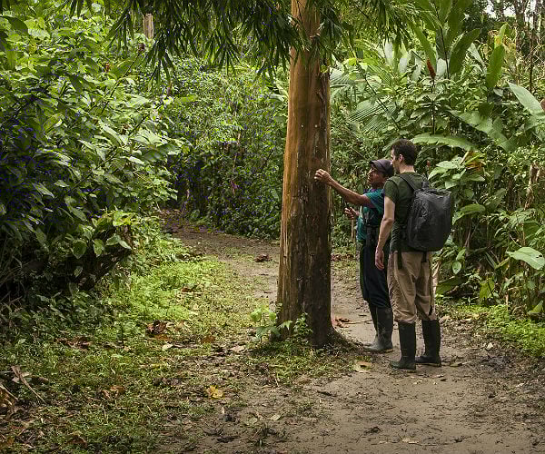 Napo Wildlife Center