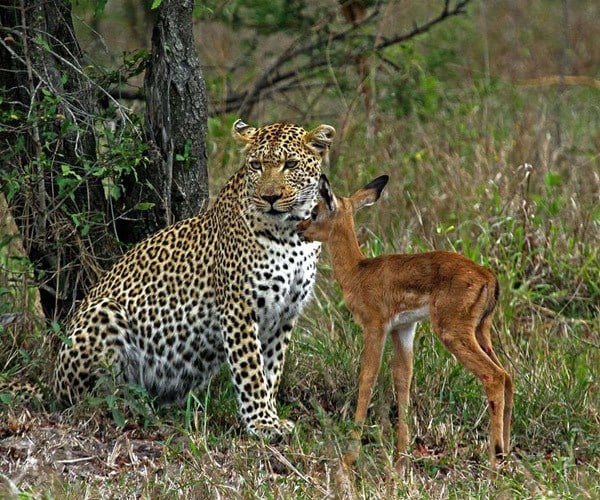 Amazing sights at Jock Safari Lodge