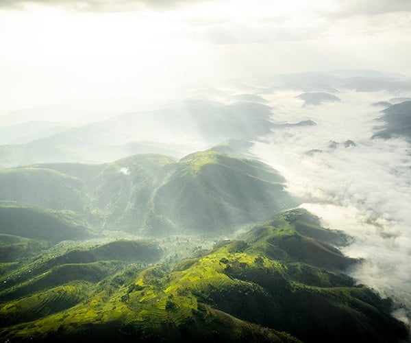 Bwindi Impenetrable Forest aerial shot, Sanctuary Gorilla Forest Camp