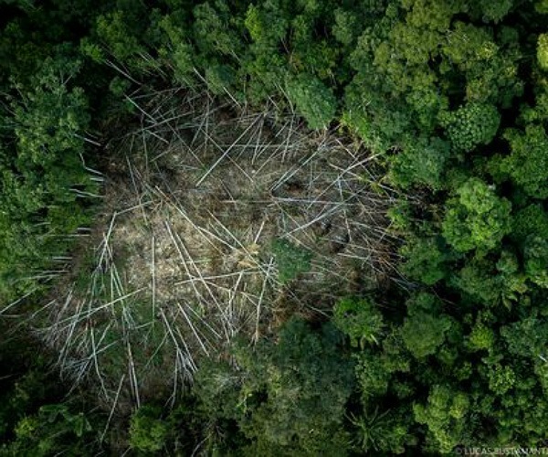 Deforestación- Amazonía