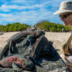 The ultimate list: 100 things to do in the Galapagos Islands