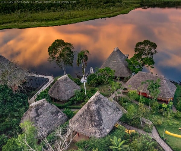 Napo Wildlife Center from the Tower