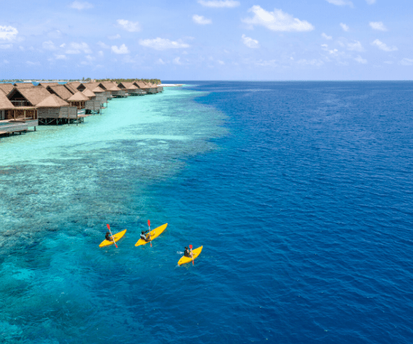 Top 5 house reefs in the Maldives