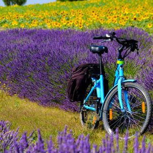 Cycling in Provence – the best way to see this beautiful region?