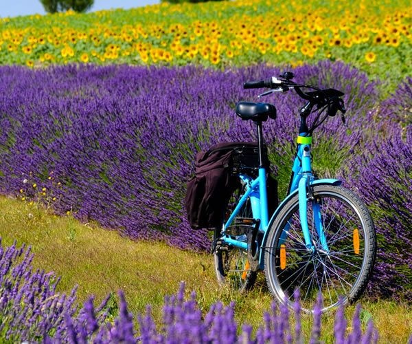 Cycling in Provence – the best way to see this beautiful region?