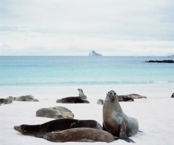Top 10 activities in the Galapagos you can do by yourself after your cruise