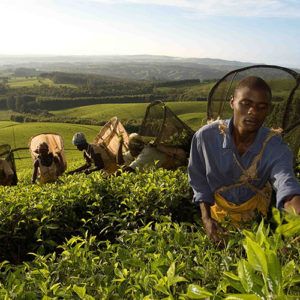 Top 5 places to visit in South Malawi (beyond the lake and reserves)