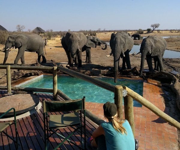 9 things to expect on a luxury safari