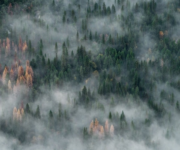 Photograph of the Week: Yosemite, Sierra Nevada Mountains, California