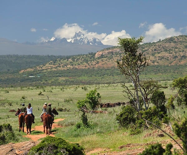 Riding horses in hills of Laikipia near buffalo herd