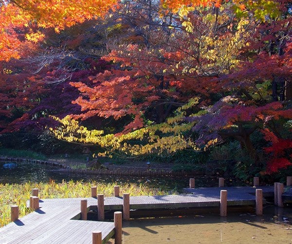 Gotenyama Garden in Shinagawa, Tokyo