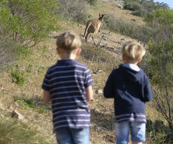 luxury volunteering australia