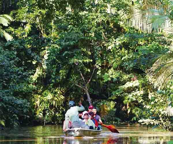 Añangu Creek- NWC