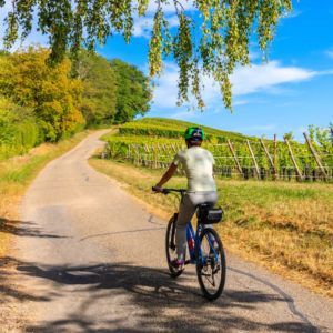 The latest COVID-19 coronavirus and travel news from Provence