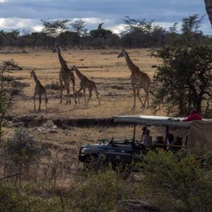 5 reasons to take a family safari after COVID-19