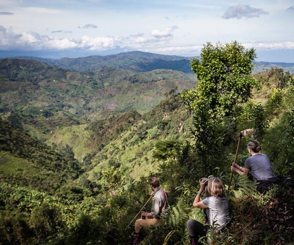 gorilla-trekking-group-Clouds-Mountain-Gorilla-Lodge