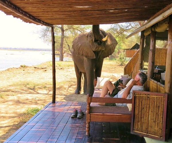 man-relaxing-veranda-elephant-close-up-old-mondoro-lodge-lower-zambezi