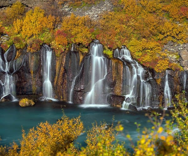 The glorious autumn colors paired with the myriad streams from Hraunfossar, lava waterfall, West Iceland