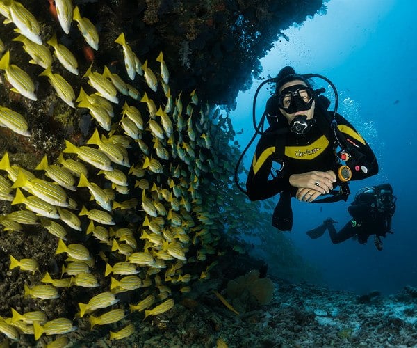 Gay scuba week