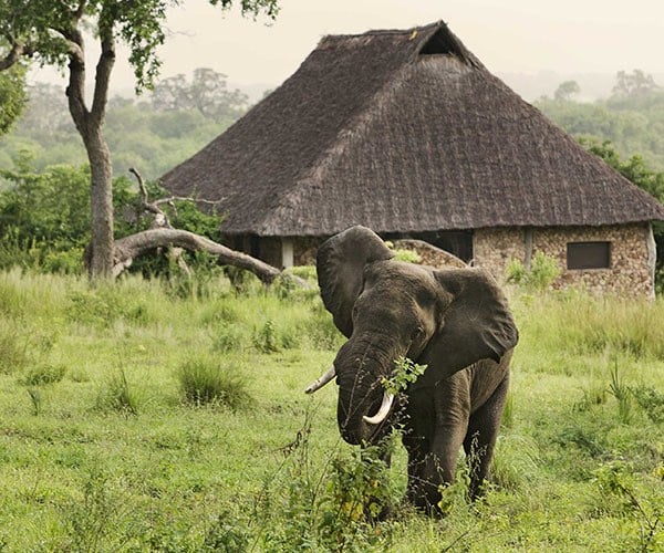 Tanzania’s safari secrets