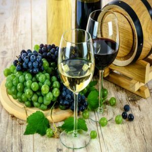 Explore the best wine tours in Barcelona