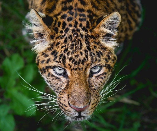 6 amazing South American photography tours - A Luxury Travel Blog : A Luxury Travel Blog 6 amazing South American photography tours - A Luxury Travel Blog : A Luxury Travel Blog