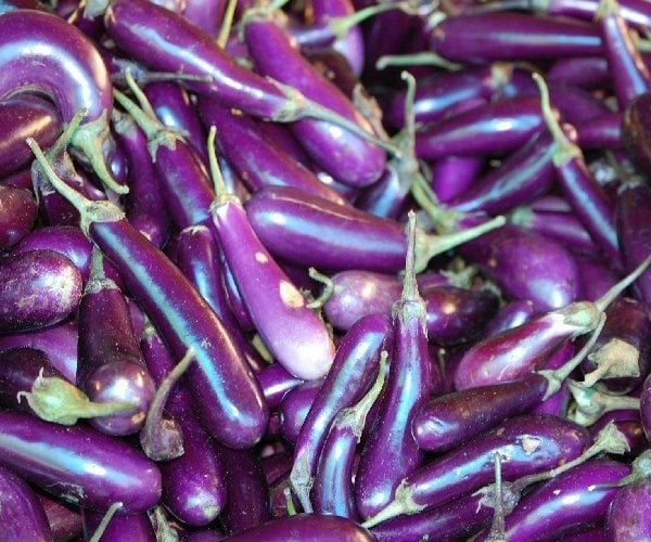 bhutan veg