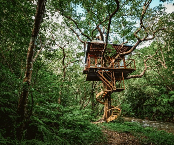 New luxury treehouse resort in Okinawa, Japan