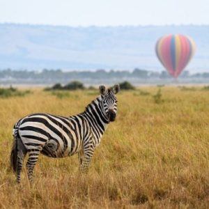 5 classic two-centre African adventures