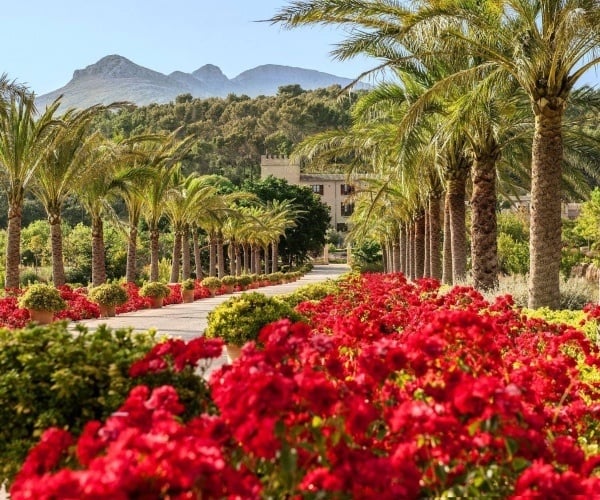 5 best luxury countryside hotels in Mallorca with great food
