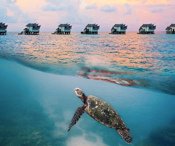 maldives-sea-turtle-villas