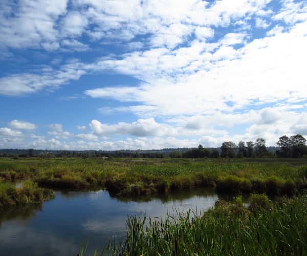 Lincolnshire Fens - Quality Unearthed