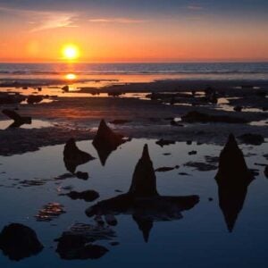 The Sunken Forest at Borth