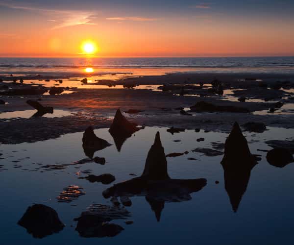 The Sunken Forest at Borth